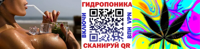 МАРИХУАНА гибрид  хочу   Макарьев 